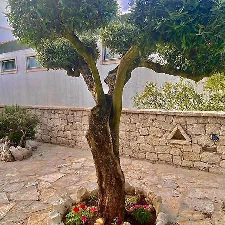 Casa de Campo Casa Laranjeiras *