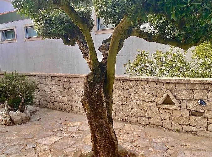 Летний дом Casa Laranjeiras *